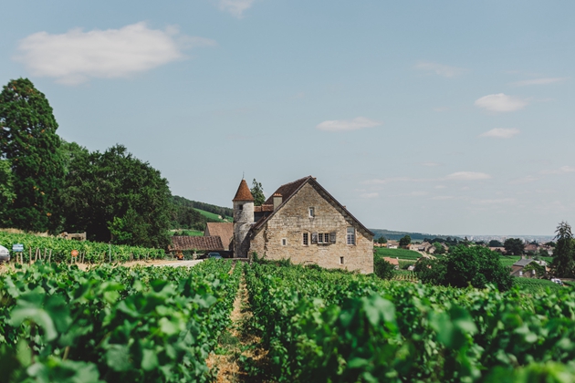 （Domaine Joliet Fixin 1er Cru 乔伊莱特酒庄菲克桑村一级独占园 受访者供图）