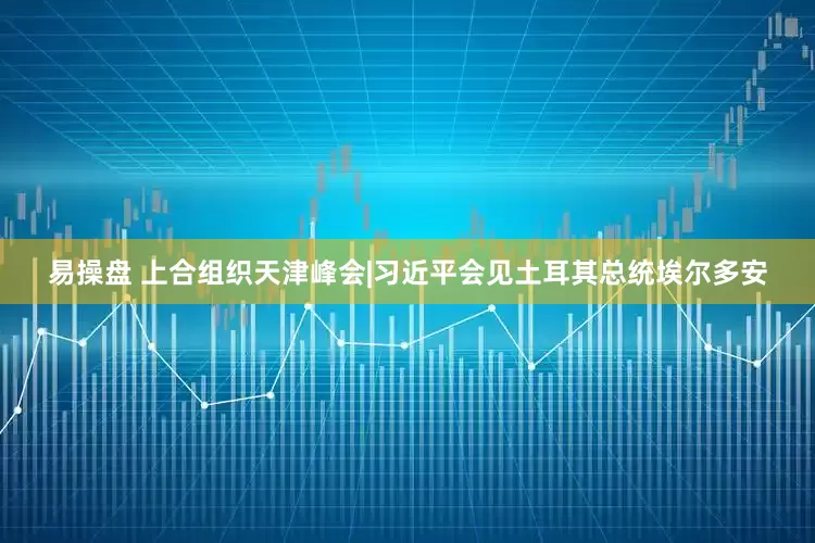 易操盘 上合组织天津峰会|习近平会见土耳其总统埃尔多安